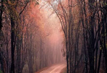 卢森堡选手实现梦想夺得荣耀