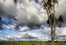 根据赛前情报，埃尔切有望主场取胜：球队状态与赛场策略解析