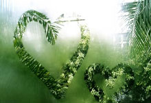 根据赛前情报，埃尔切有望主场取胜：球队状态与赛场策略解析